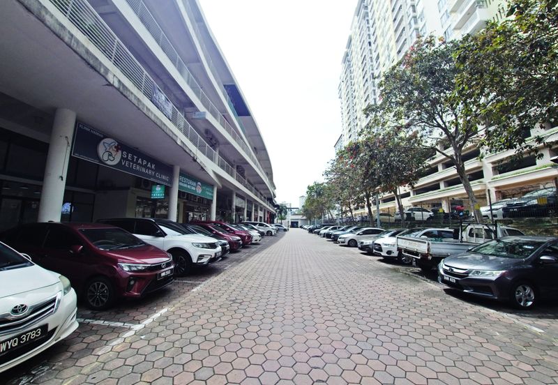 Platinum Mondrian (Pv128)