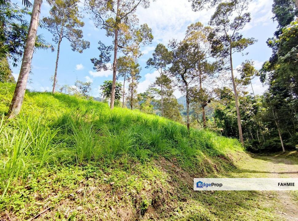 Freehold. 6 ekar. Tanah Pertanian. Rizab Melayu. Janda Baik. Bentong. , Pahang, Bentong