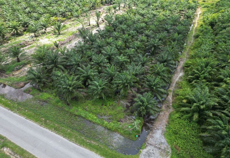 Sungai Sedu @ Tanjung Dua Belas