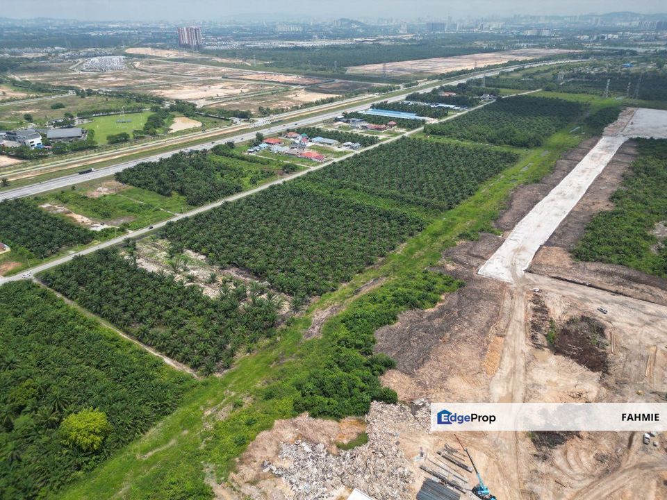 Tanah Pertanian. Tanah lapisan pertama. Tanah rata. Tanjung Dua Belas. Kuala Langat. , Selangor, Banting