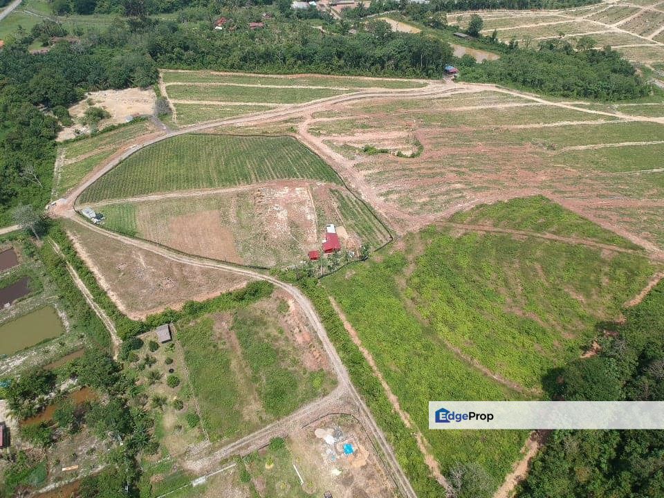 Tanah Tanjong Rimau, Pulau sebang, Alor Gajah, Melaka, Melaka, Alor Gajah