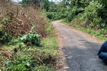 Tanah Pulau Sebang, Melaka