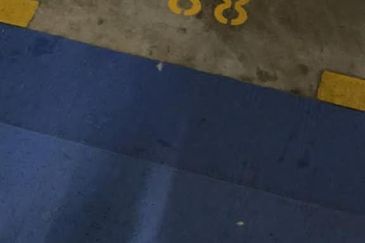 Royal Regent Sri Putramas III