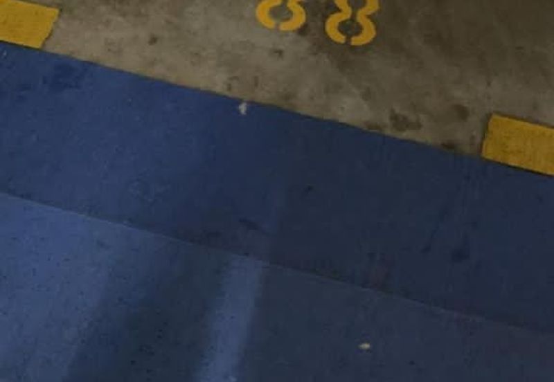 Royal Regent Sri Putramas III