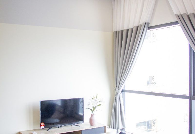 Cyperus @ Tropicana Gardens