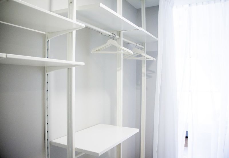 Cyperus @ Tropicana Gardens