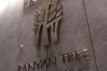Banyan Tree