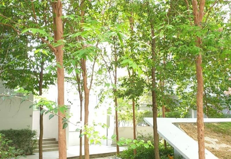 Ampang hilir cluster house