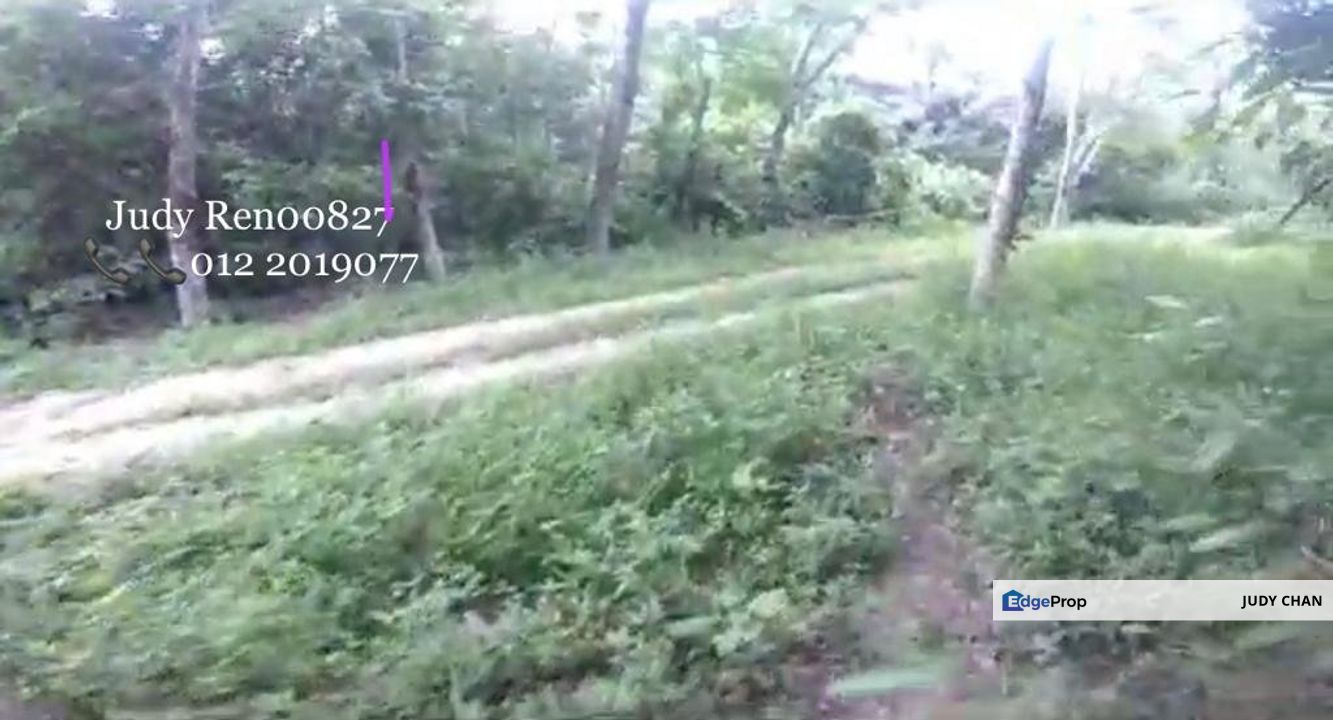 8acs Agri Land Freehold@Gemas - Batu Anam, NS, Negeri Sembilan, Gemas