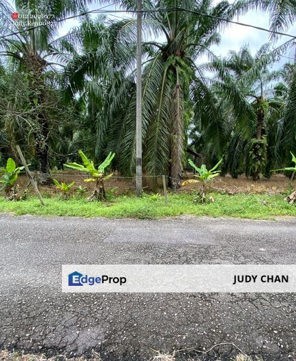 2.5acs @ Rm19.30psf!  Sijankang, Klang Banting FH Agri Flat Land, Selangor, Hulu Langat