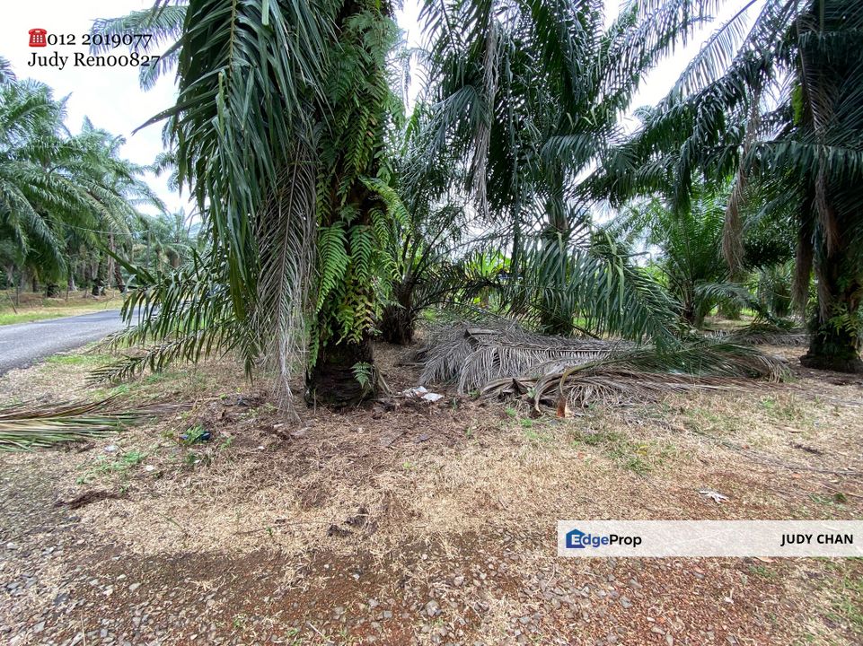 2.5acs @ Rm19.30psf!  Sijankang, Klang Banting FH Agri Flat Land, Selangor, Hulu Langat