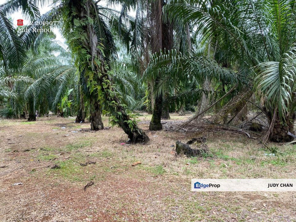 5acs @ Rm18.50Psf!!! SIJANGKANG, KLG BANTING AGRI LAND FREEHOLD, FLAT & RECTANGULAR SHAPE, Selangor, Hulu Langat