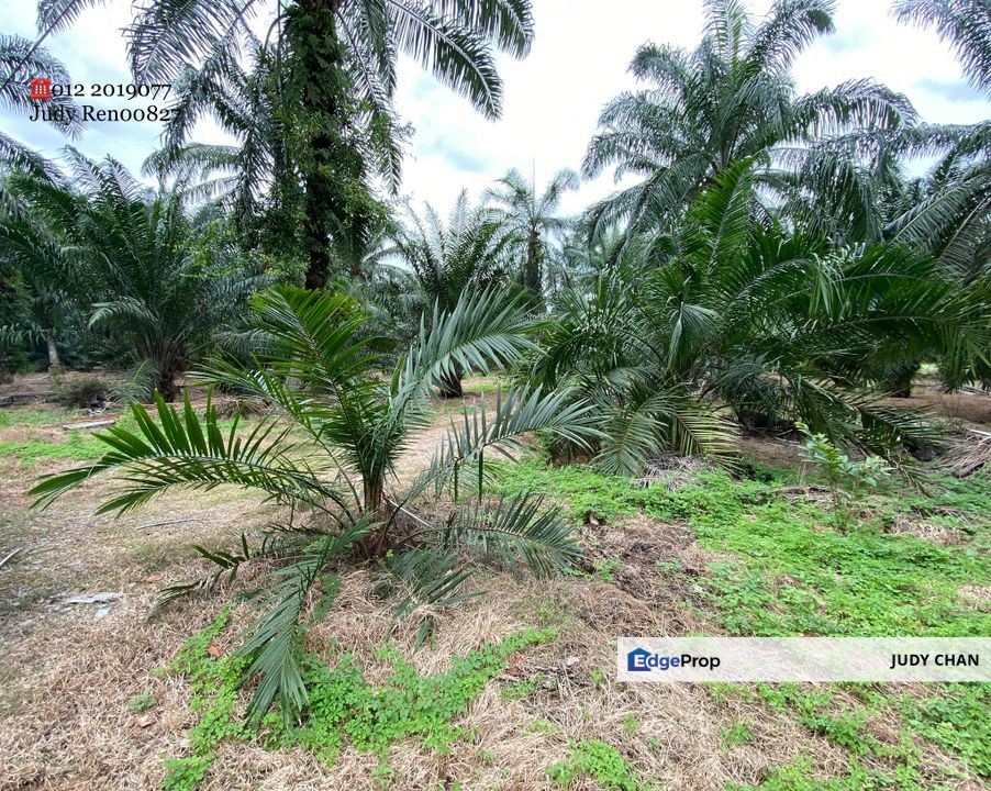 5acs @ Rm18.50Psf!!! SIJANGKANG, KLG BANTING AGRI LAND FREEHOLD, FLAT & RECTANGULAR SHAPE, Selangor, Hulu Langat