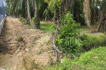 Telok Panglima Garang Industrial Zone