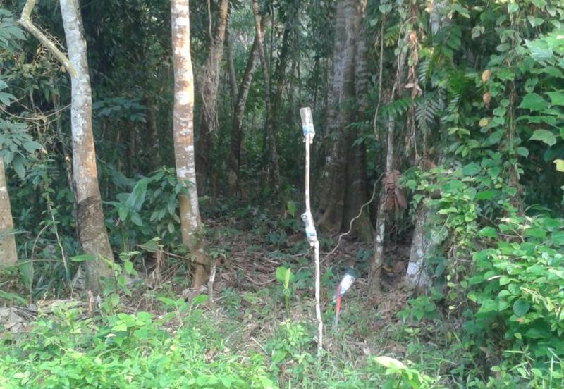 Saujana Impian Mahkota