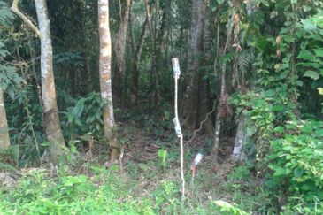 Saujana Impian Mahkota