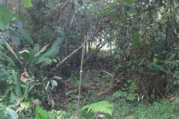 Saujana Impian Mahkota