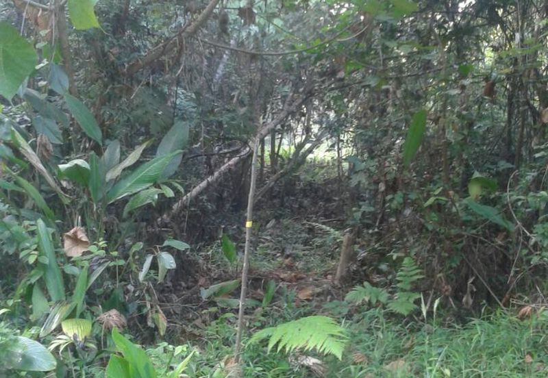 Saujana Impian Mahkota