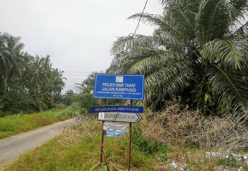Revolusi Hijau Kampung Perepat