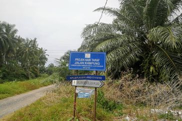 Revolusi Hijau Kampung Perepat