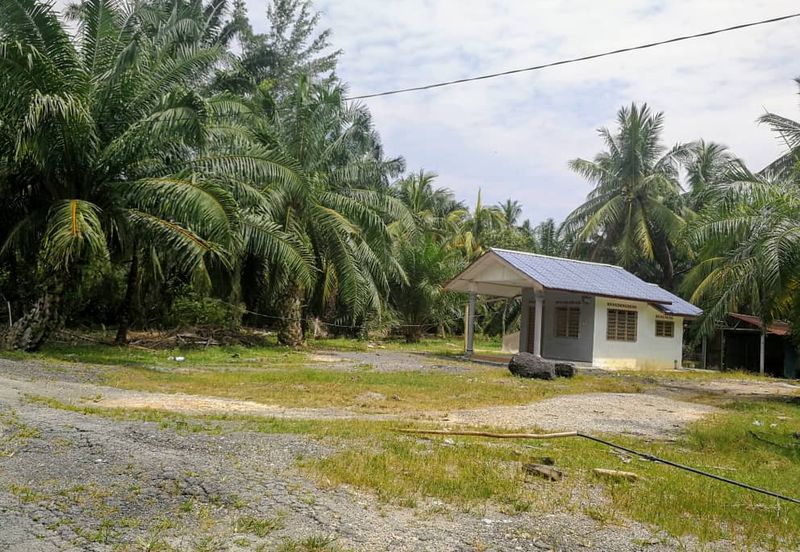 Revolusi Hijau Kampung Perepat