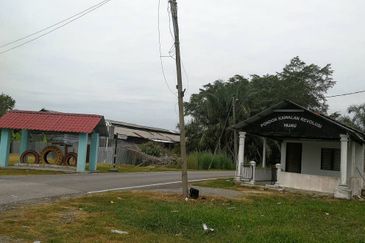 Revolusi Hijau Kampung Perepat