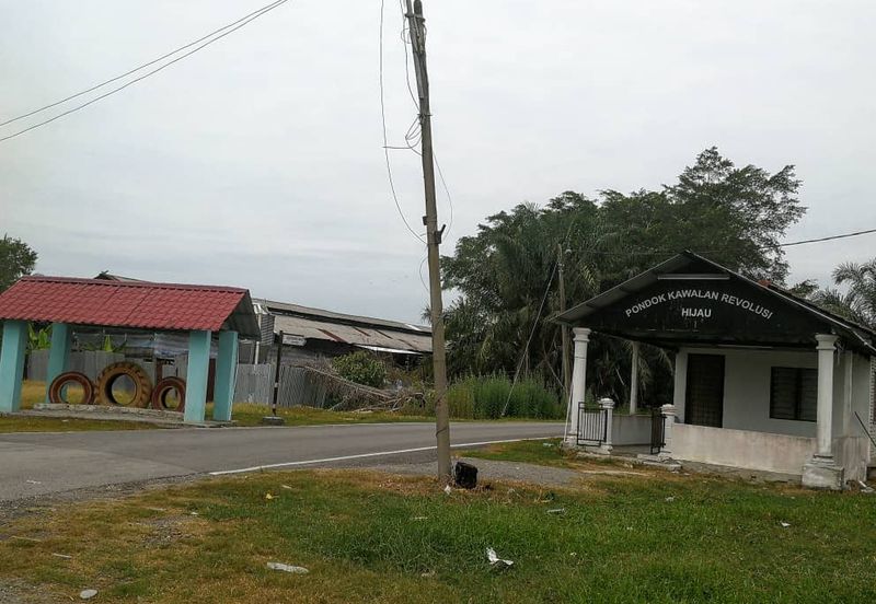Revolusi Hijau Kampung Perepat