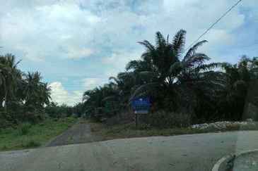 Revolusi Hijau Kampung Perepat