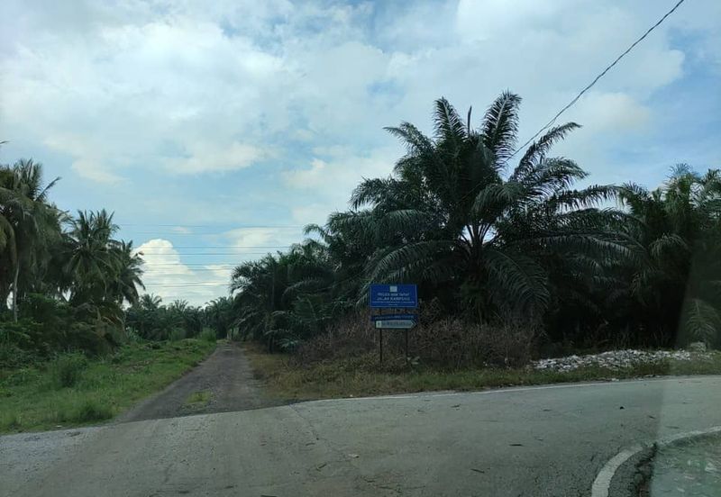 Revolusi Hijau Kampung Perepat