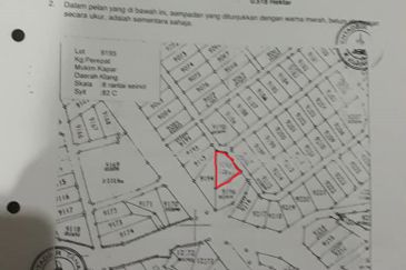 Revolusi Hijau Kampung Perepat