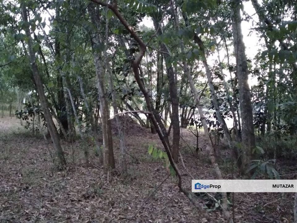 FREEHOLD OPEN, Bungalow Land @ Putra Crest, Subang Jaya - Selling Below Market Value!!!, Selangor, Subang Jaya