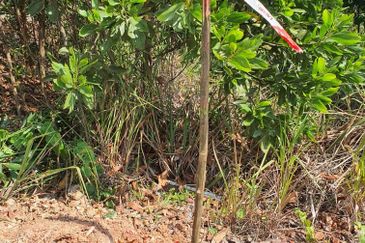 Tanah Lot Bangunan @ Batu 3 Jalan Temerloh-Mentakab, Pahang - Geran Individu & Sudah Ada Infra