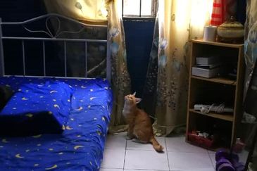 Pangsapuri Seri Suria