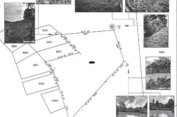 FREEHOLD Land For Sale in Bukit Koman @ Raub, Pahang - Near Town