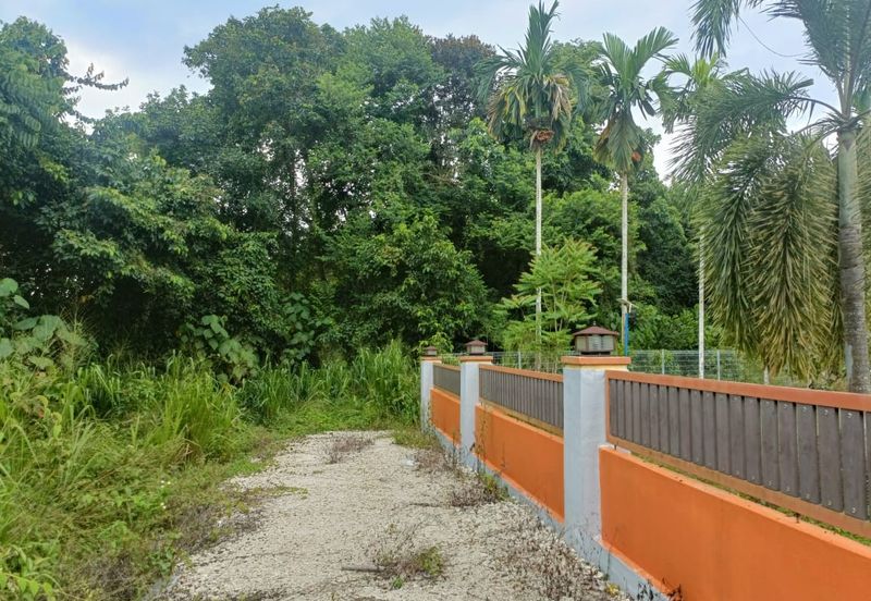 TANAH PERTANIAN FREEHOLD TEPI JALAN, Seluas 1.23 Ekar @ Batu 4, Jalan Temerloh-Maran, Pahang