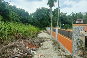 TANAH PERTANIAN FREEHOLD TEPI JALAN, Seluas 1.23 Ekar @ Batu 4, Jalan Temerloh-Maran, Pahang