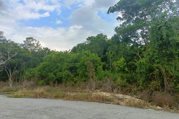 TANAH PERTANIAN FREEHOLD TEPI JALAN, Seluas 1.23 Ekar @ Batu 4, Jalan Temerloh-Maran, Pahang