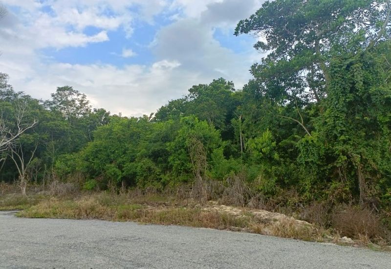 TANAH PERTANIAN FREEHOLD TEPI JALAN, Seluas 1.23 Ekar @ Batu 4, Jalan Temerloh-Maran, Pahang