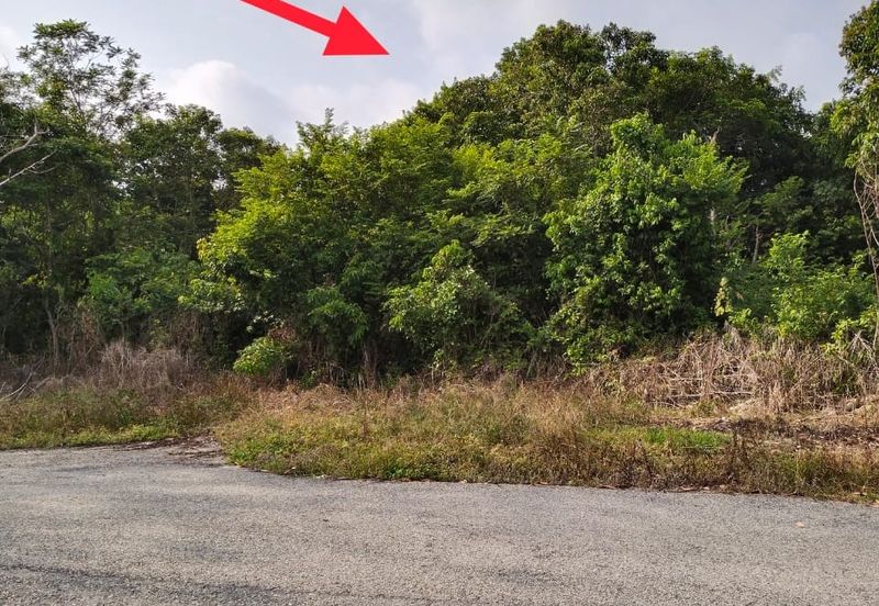 TANAH PERTANIAN FREEHOLD TEPI JALAN, Seluas 1.23 Ekar @ Batu 4, Jalan Temerloh-Maran, Pahang