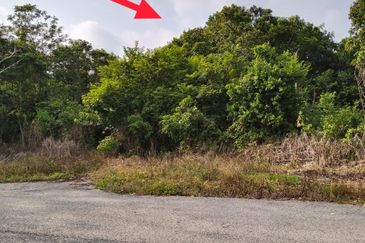 TANAH PERTANIAN FREEHOLD TEPI JALAN, Seluas 1.23 Ekar @ Batu 4, Jalan Temerloh-Maran, Pahang