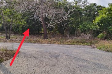 TANAH PERTANIAN FREEHOLD TEPI JALAN, Seluas 1.23 Ekar @ Batu 4, Jalan Temerloh-Maran, Pahang