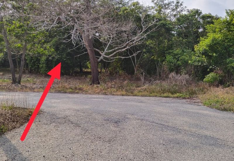 TANAH PERTANIAN FREEHOLD TEPI JALAN, Seluas 1.23 Ekar @ Batu 4, Jalan Temerloh-Maran, Pahang