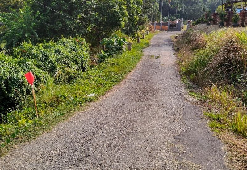 TANAH PERTANIAN FREEHOLD TEPI JALAN, Seluas 1.23 Ekar @ Batu 4, Jalan Temerloh-Maran, Pahang