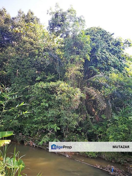 Tanah Pertanian FREEHOLD Dekat Jalan Besar di Sungai Lui, Hulu Langat - Geran Individu Bebas Banjir, Selangor, Hulu Langat