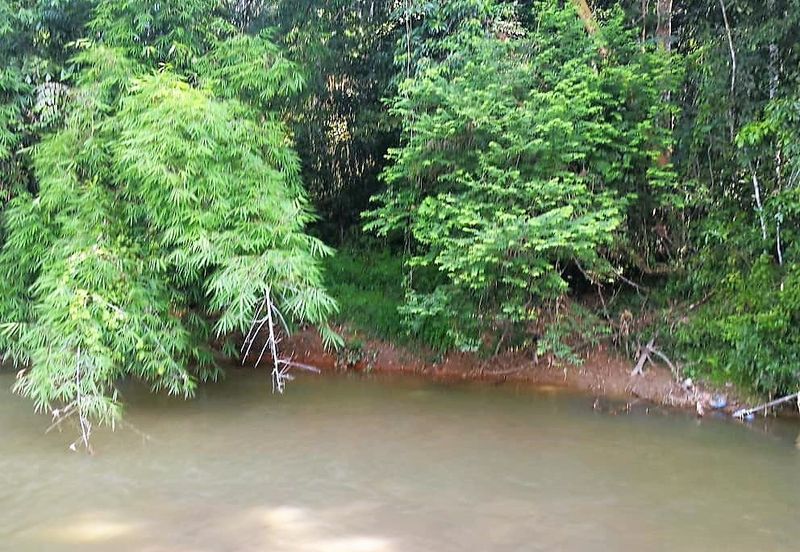 Kampung Sungai Lui