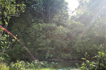 Kampung Sungai Lui