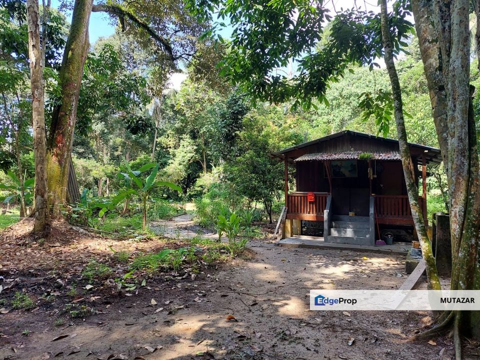 Tanah Pertanian @ Kebun Durian di Batu 19, Hulu Langat, Selangor - Tepi Jalan Besar, Selangor, Hulu Langat