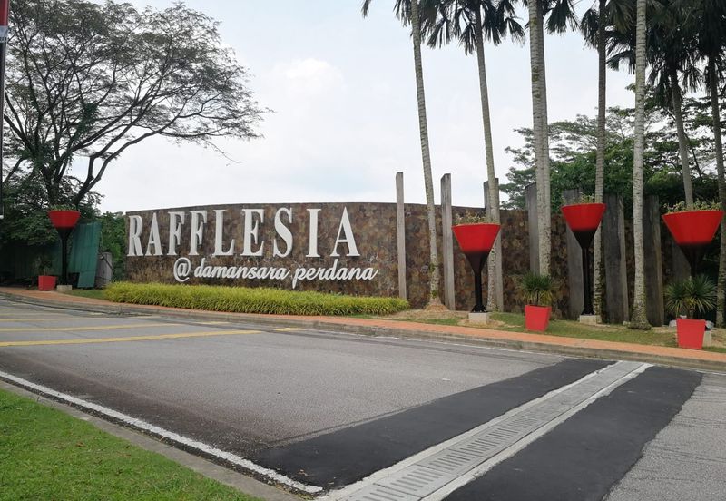 Rafflesia @ The Hill