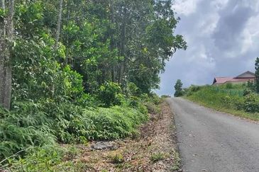 TANAH LOT KEDIAMAN DI LOKASI STRATEGIK FOR SALE @ KAMPUNG SG GAU, TEMERLOH, PAHANG