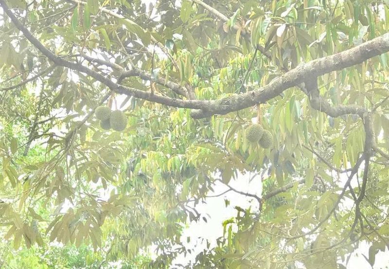 Kampung Baru Ulu Beranang